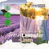 Fresh Lavender and Linen Fragrance Oil at SFWP