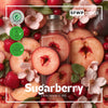 Sugarberry Fragrance Oil