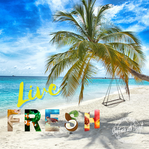 Live Fresh Fragrance Oil